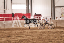 ete's Photography - Equine photography of various equine events at the Ancaster Fair including riding, driving, single carts and six draft horse hitches.