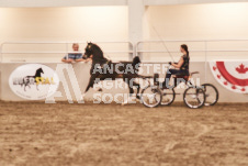 ete's Photography - Equine photography of various equine events at the Ancaster Fair including riding, driving, single carts and six draft horse hitches.