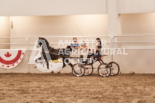 ete's Photography - Equine photography of various equine events at the Ancaster Fair including riding, driving, single carts and six draft horse hitches.