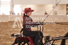 ete's Photography - Equine photography of various equine events at the Ancaster Fair including riding, driving, single carts and six draft horse hitches.