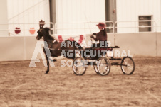 ete's Photography - Equine photography of various equine events at the Ancaster Fair including riding, driving, single carts and six draft horse hitches.