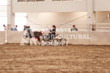 ete's Photography - Equine photography of various equine events at the Ancaster Fair including riding, driving, single carts and six draft horse hitches.