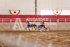 ete's Photography - Equine photography of various equine events at the Ancaster Fair including riding, driving, single carts and six draft horse hitches.