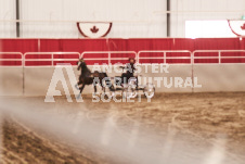 ete's Photography - Equine photography of various equine events at the Ancaster Fair including riding, driving, single carts and six draft horse hitches.