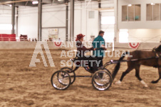 ete's Photography - Equine photography of various equine events at the Ancaster Fair including riding, driving, single carts and six draft horse hitches.