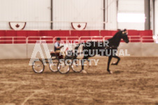 ete's Photography - Equine photography of various equine events at the Ancaster Fair including riding, driving, single carts and six draft horse hitches.