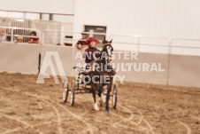 ete's Photography - Equine photography of various equine events at the Ancaster Fair including riding, driving, single carts and six draft horse hitches.