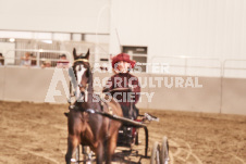 ete's Photography - Equine photography of various equine events at the Ancaster Fair including riding, driving, single carts and six draft horse hitches.