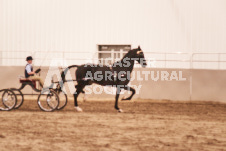 ete's Photography - Equine photography of various equine events at the Ancaster Fair including riding, driving, single carts and six draft horse hitches.