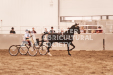 ete's Photography - Equine photography of various equine events at the Ancaster Fair including riding, driving, single carts and six draft horse hitches.