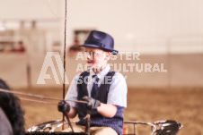 ete's Photography - Equine photography of various equine events at the Ancaster Fair including riding, driving, single carts and six draft horse hitches.