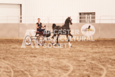 ete's Photography - Equine photography of various equine events at the Ancaster Fair including riding, driving, single carts and six draft horse hitches.