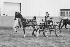 ete's Photography - Equine photography of various equine events at the Ancaster Fair including riding, driving, single carts and six draft horse hitches.