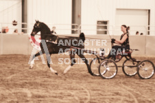 ete's Photography - Equine photography of various equine events at the Ancaster Fair including riding, driving, single carts and six draft horse hitches.