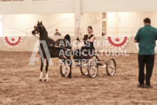 ete's Photography - Equine photography of various equine events at the Ancaster Fair including riding, driving, single carts and six draft horse hitches.