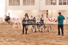 ete's Photography - Equine photography of various equine events at the Ancaster Fair including riding, driving, single carts and six draft horse hitches.