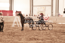 ete's Photography - Equine photography of various equine events at the Ancaster Fair including riding, driving, single carts and six draft horse hitches.