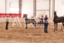 ete's Photography - Equine photography of various equine events at the Ancaster Fair including riding, driving, single carts and six draft horse hitches.