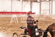 ete's Photography - Equine photography of various equine events at the Ancaster Fair including riding, driving, single carts and six draft horse hitches.