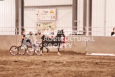 ete's Photography - Equine photography of various equine events at the Ancaster Fair including riding, driving, single carts and six draft horse hitches.