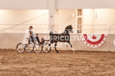 ete's Photography - Equine photography of various equine events at the Ancaster Fair including riding, driving, single carts and six draft horse hitches.