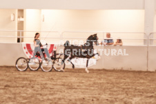 ete's Photography - Equine photography of various equine events at the Ancaster Fair including riding, driving, single carts and six draft horse hitches.