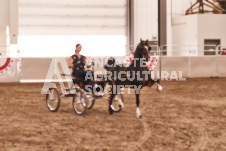 ete's Photography - Equine photography of various equine events at the Ancaster Fair including riding, driving, single carts and six draft horse hitches.