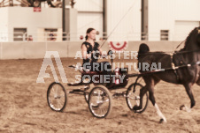 ete's Photography - Equine photography of various equine events at the Ancaster Fair including riding, driving, single carts and six draft horse hitches.