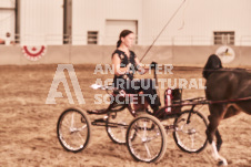 ete's Photography - Equine photography of various equine events at the Ancaster Fair including riding, driving, single carts and six draft horse hitches.