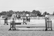 ete's Photography - Equine photography of various equine events at the Ancaster Fair including riding, driving, single carts and six draft horse hitches.