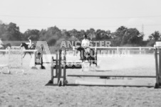 ete's Photography - Equine photography of various equine events at the Ancaster Fair including riding, driving, single carts and six draft horse hitches.