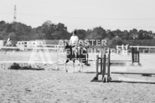 ete's Photography - Equine photography of various equine events at the Ancaster Fair including riding, driving, single carts and six draft horse hitches.