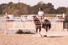 ete's Photography - Equine photography of various equine events at the Ancaster Fair including riding, driving, single carts and six draft horse hitches.