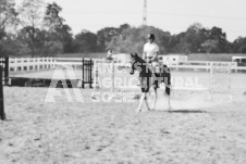 ete's Photography - Equine photography of various equine events at the Ancaster Fair including riding, driving, single carts and six draft horse hitches.