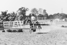 ete's Photography - Equine photography of various equine events at the Ancaster Fair including riding, driving, single carts and six draft horse hitches.