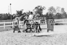 ete's Photography - Equine photography of various equine events at the Ancaster Fair including riding, driving, single carts and six draft horse hitches.