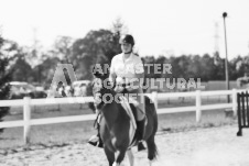 ete's Photography - Equine photography of various equine events at the Ancaster Fair including riding, driving, single carts and six draft horse hitches.