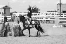 ete's Photography - Equine photography of various equine events at the Ancaster Fair including riding, driving, single carts and six draft horse hitches.