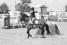 ete's Photography - Equine photography of various equine events at the Ancaster Fair including riding, driving, single carts and six draft horse hitches.