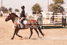 ete's Photography - Equine photography of various equine events at the Ancaster Fair including riding, driving, single carts and six draft horse hitches.