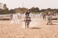 ete's Photography - Equine photography of various equine events at the Ancaster Fair including riding, driving, single carts and six draft horse hitches.