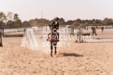 ete's Photography - Equine photography of various equine events at the Ancaster Fair including riding, driving, single carts and six draft horse hitches.