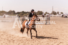 ete's Photography - Equine photography of various equine events at the Ancaster Fair including riding, driving, single carts and six draft horse hitches.