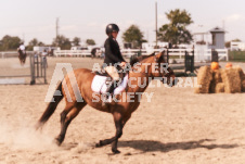 ete's Photography - Equine photography of various equine events at the Ancaster Fair including riding, driving, single carts and six draft horse hitches.