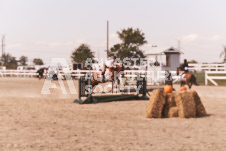 ete's Photography - Equine photography of various equine events at the Ancaster Fair including riding, driving, single carts and six draft horse hitches.