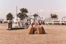 ete's Photography - Equine photography of various equine events at the Ancaster Fair including riding, driving, single carts and six draft horse hitches.