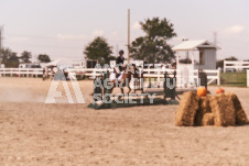 ete's Photography - Equine photography of various equine events at the Ancaster Fair including riding, driving, single carts and six draft horse hitches.