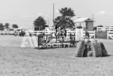 ete's Photography - Equine photography of various equine events at the Ancaster Fair including riding, driving, single carts and six draft horse hitches.