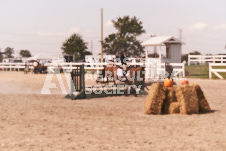 ete's Photography - Equine photography of various equine events at the Ancaster Fair including riding, driving, single carts and six draft horse hitches.