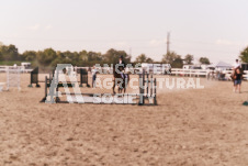 ete's Photography - Equine photography of various equine events at the Ancaster Fair including riding, driving, single carts and six draft horse hitches.